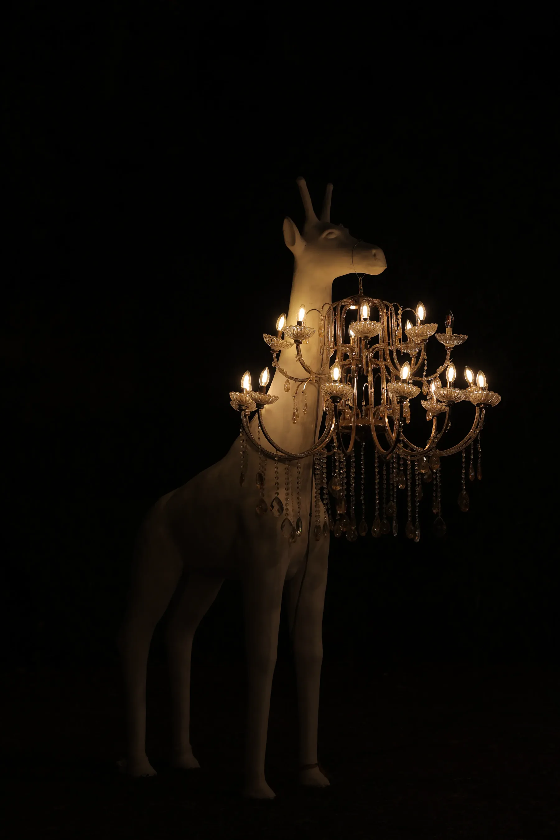 Evara wedding décor